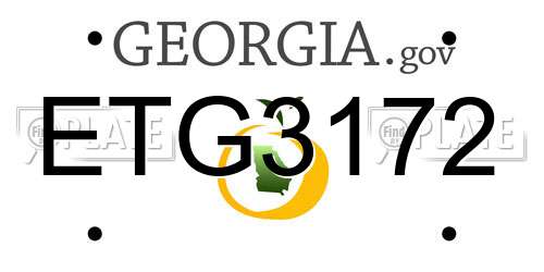 ETG3172 Georgia License Plate