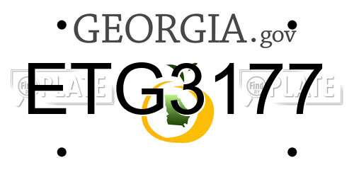 ETG3177 Georgia License Plate