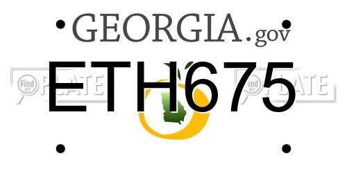 ETH675 Georgia License Plate