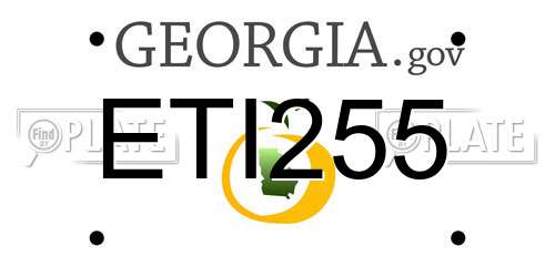 ETI255 Georgia License Plate