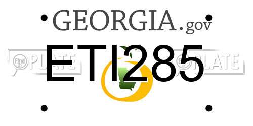 ETI285 Georgia License Plate