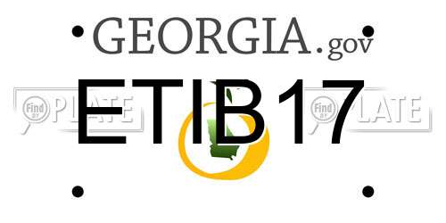 ETIB17 Georgia License Plate