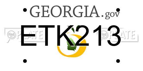 ETK213 Georgia License Plate