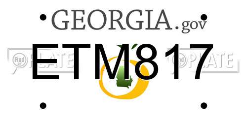 ETM817 Georgia License Plate