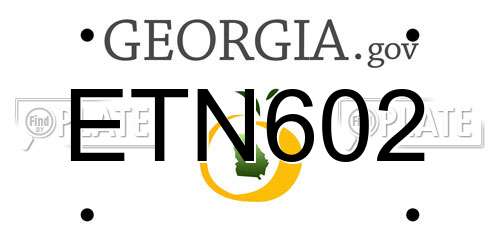 ETN602 Georgia License Plate