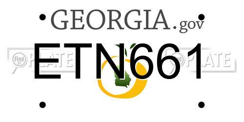 ETN661 Georgia License Plate
