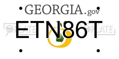 ETN86T Georgia License Plate