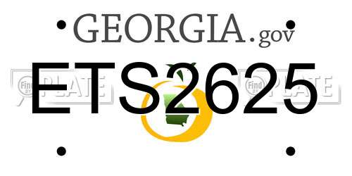 ETS2625 Georgia License Plate