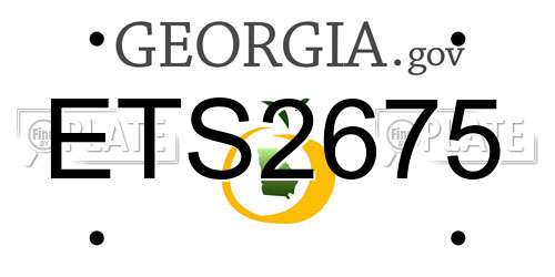 ETS2675 Georgia License Plate