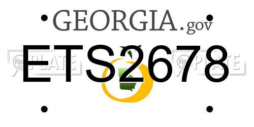ETS2678 Georgia License Plate