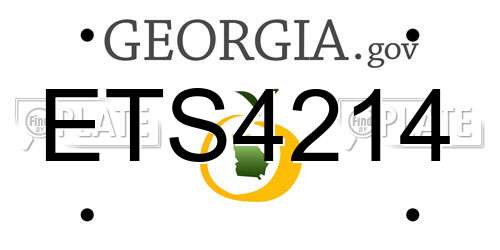 ETS4214 Georgia License Plate