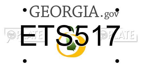 ETS517 Georgia License Plate