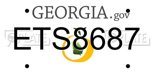 ETS8687 Georgia License Plate