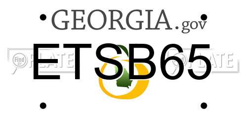 ETSB65 Georgia License Plate