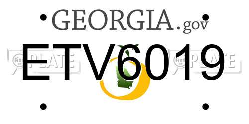 ETV6019 Georgia License Plate