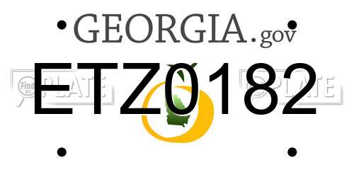 ETZ0182 Georgia License Plate