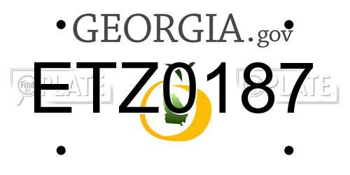ETZ0187 Georgia License Plate