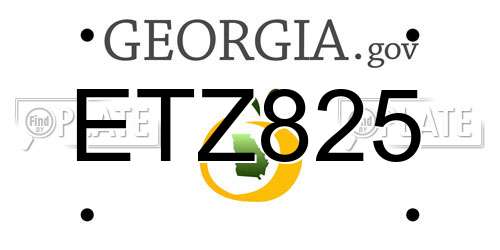 ETZ825 Georgia License Plate