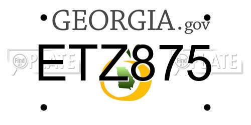 ETZ875 Georgia License Plate