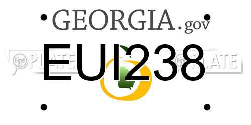 EUI238 Georgia License Plate