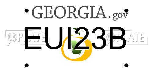EUI23B Georgia License Plate