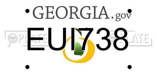 EUI738 Georgia License Plate