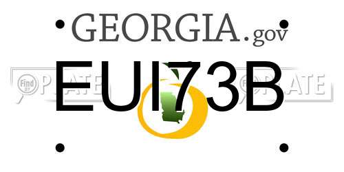EUI73B Georgia License Plate
