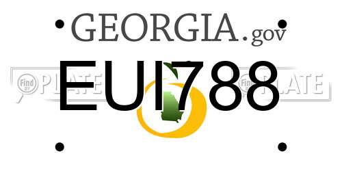 EUI788 Georgia License Plate