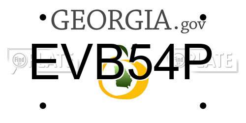 EVB54P Georgia License Plate