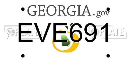 EVE691 Georgia License Plate