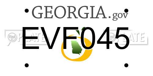 EVF045 Georgia License Plate