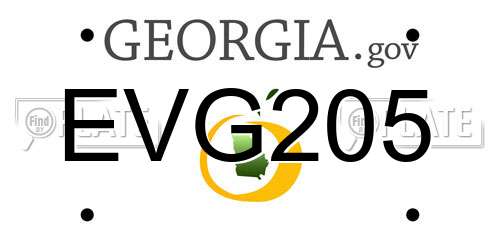 EVG205 Georgia License Plate