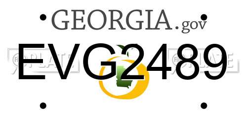 EVG2489 Georgia License Plate