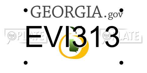EVI313 Georgia License Plate