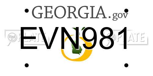 EVN981 Georgia License Plate
