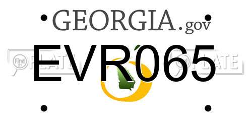 EVR065 Georgia License Plate