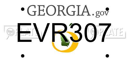 EVR307 Georgia License Plate