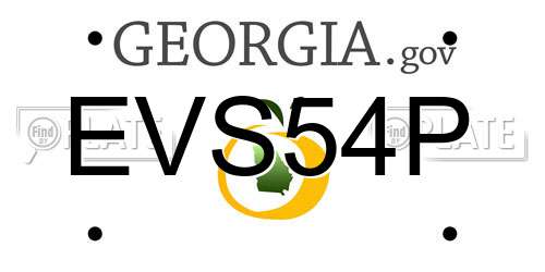 EVS54P Georgia License Plate