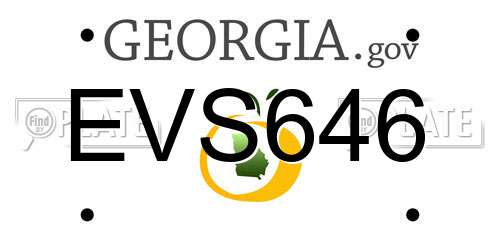 EVS646 Georgia License Plate
