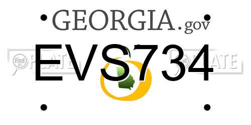 EVS734 Georgia License Plate