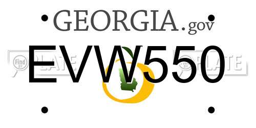 EVW550 Georgia License Plate