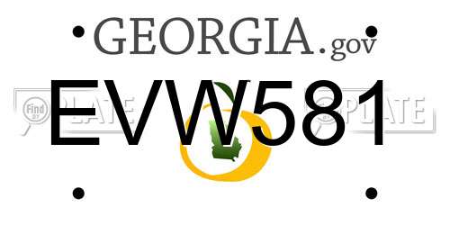 EVW581 Georgia License Plate