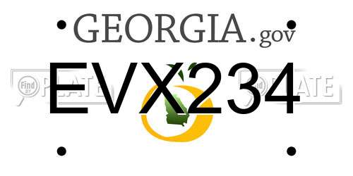EVX234 Georgia License Plate
