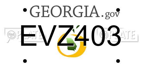 EVZ403 Georgia License Plate