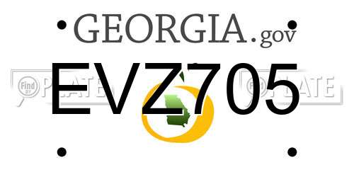 EVZ705 Georgia License Plate