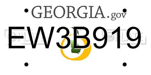 EW3B919 Georgia License Plate