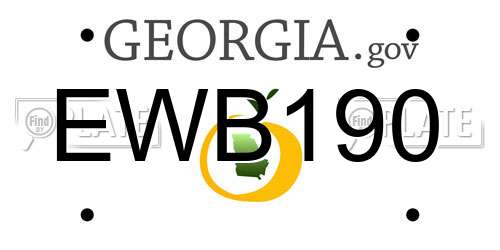 EWB190 Georgia License Plate
