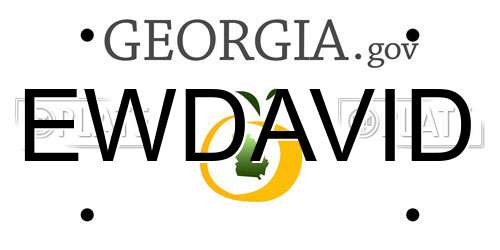 EWDAVID Georgia License Plate