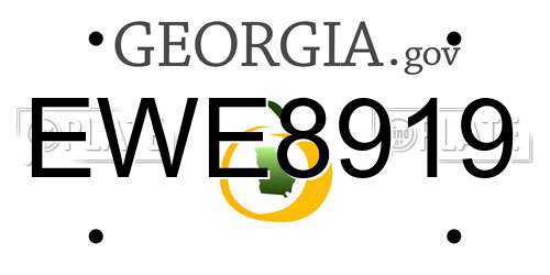 EWE8919 Georgia License Plate