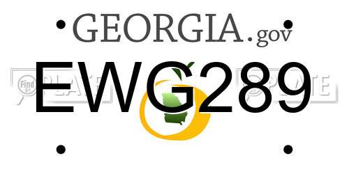 EWG289 Georgia License Plate